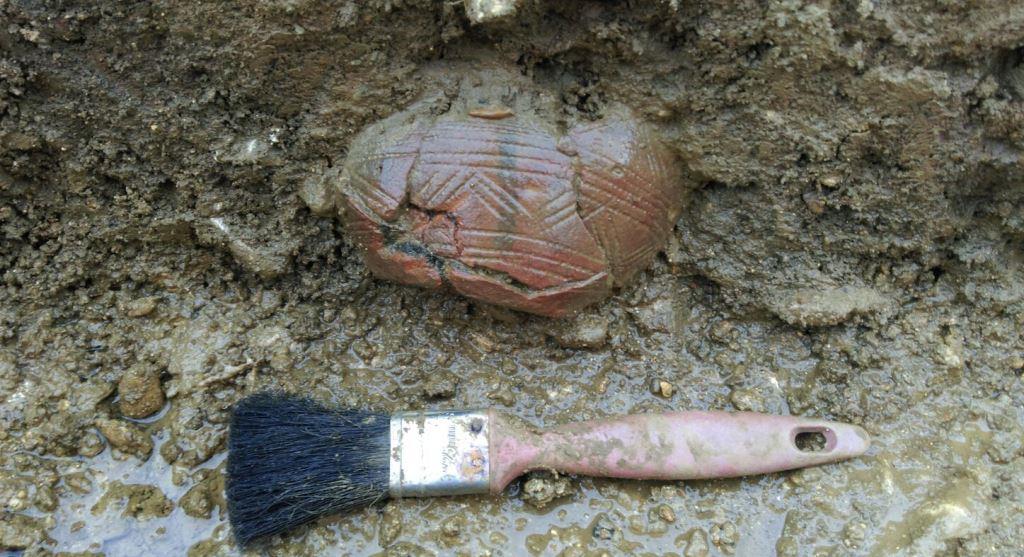 Early Bronze Age Beaker being excavated, Broadway, Worcestershire